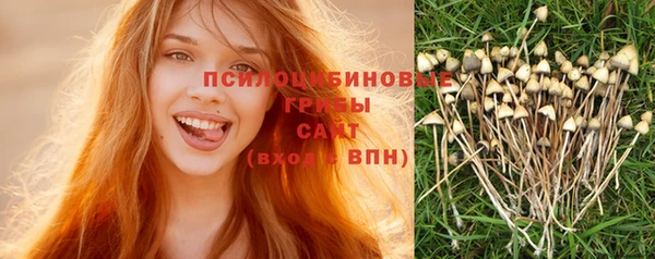 mix Ельня