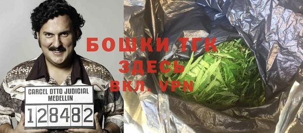 гидра Няндома