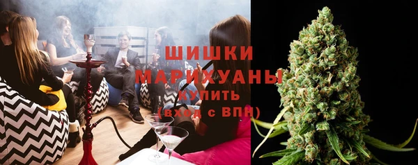 дмт Алзамай