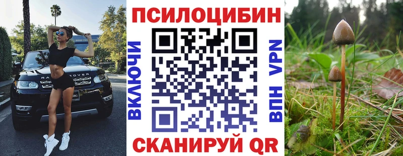 мориарти официальный сайт дарнет шоп Анадырь Псилоцибиновые грибы Psilocybe